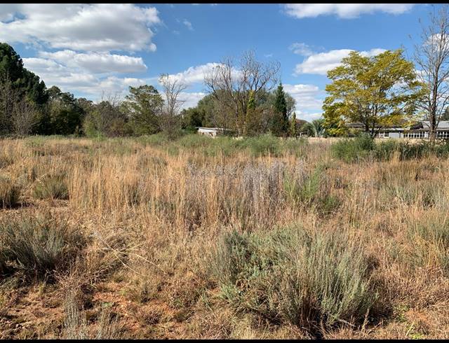 2,966M² VACANT LAND FOR SALE IN HENLEY ON KLIP
